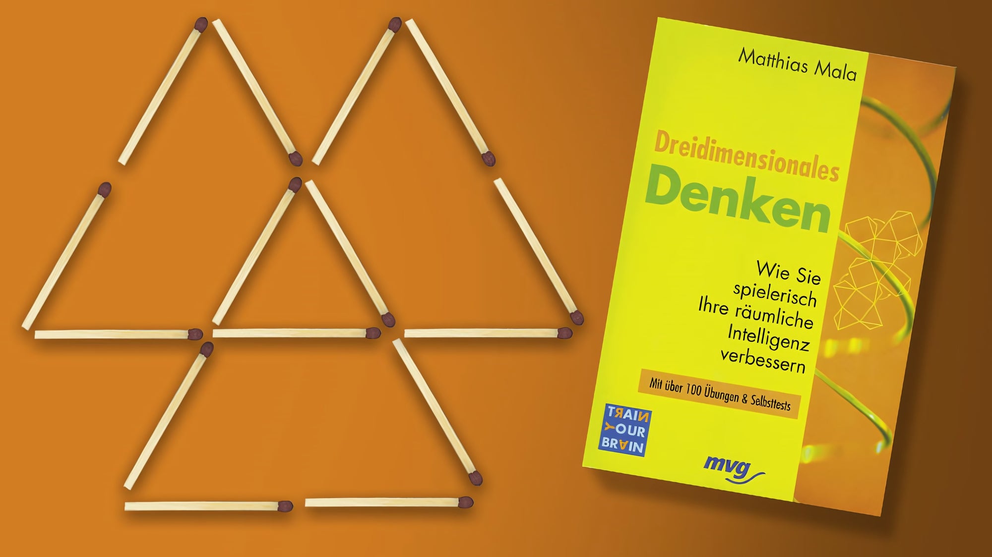 «Dreidimensionales Denken». Buch von Matthias Mala.