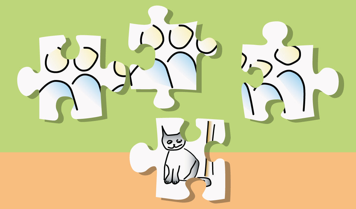 Buchtipp: Zusammen finden | Diversity Methoden für Menschen in Gruppen und Teams