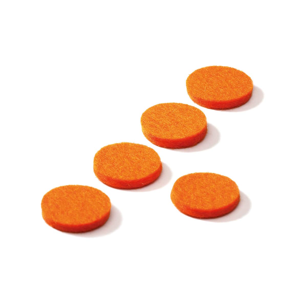 Tampons de feutre de rechange pour RaserCap et Löscher